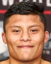 Pitbull Cruz